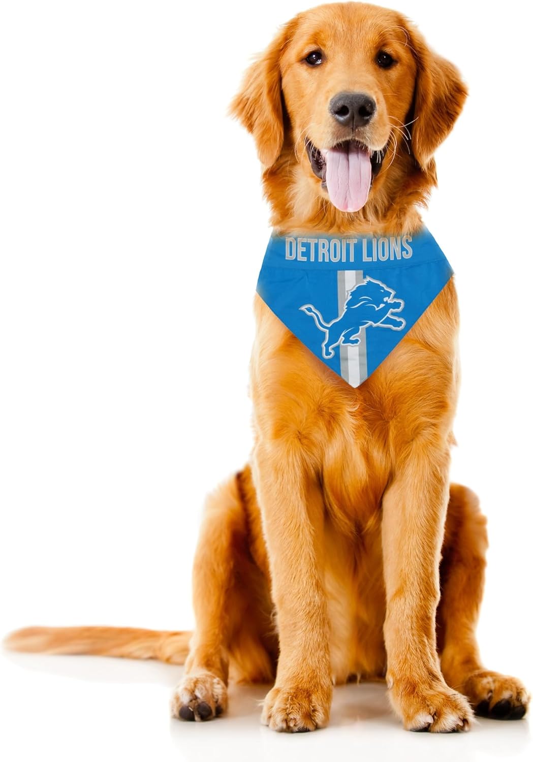 Littlearth NFL Pet Bandana - Reversible
