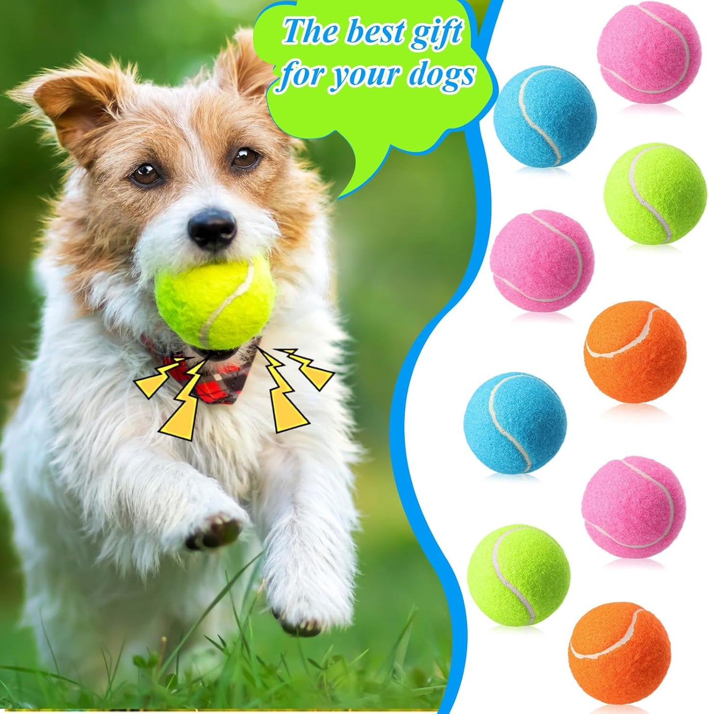 Skylety 40 Pcs 2.5 inch Squeaky Tennis Balls Bulk for Dogs Bouncy Floatable Tennis Balls Dog Playing Supplies Training Interactive Fetch Toys for Small Medium Puppy Exercise and Practice (Multicolor)