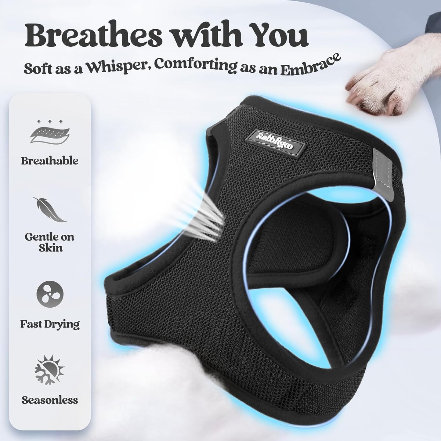 rabbitgoo Dog Harness Small Sized and Leash Set, Step in Soft Light Puppy Vest, Breathable Mesh Pet Harness, Reflective for Safe Easy Walking, Black XXS