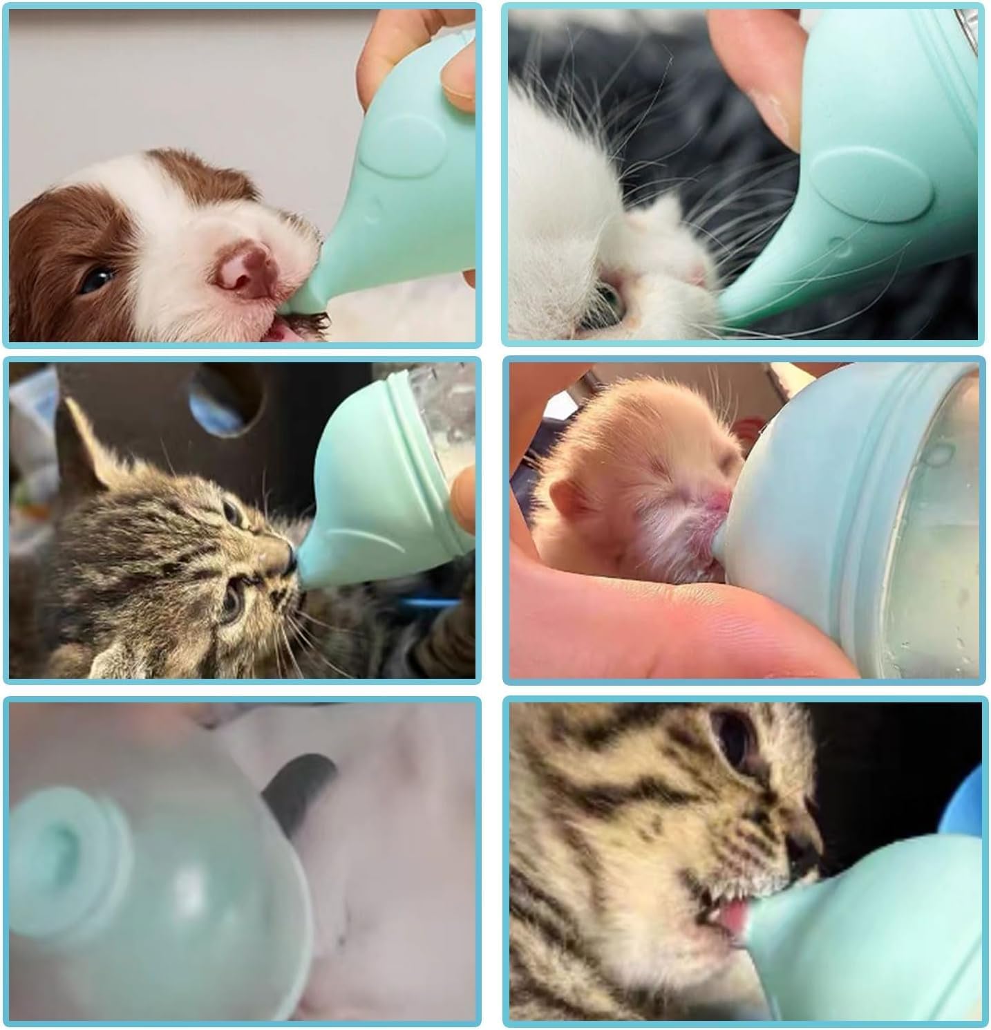 5 pcs Kitten Bottle Miracle Nipple for Kittens Anti-Choking Design for Newborn Kittens Puppies Small Animals (20ml)