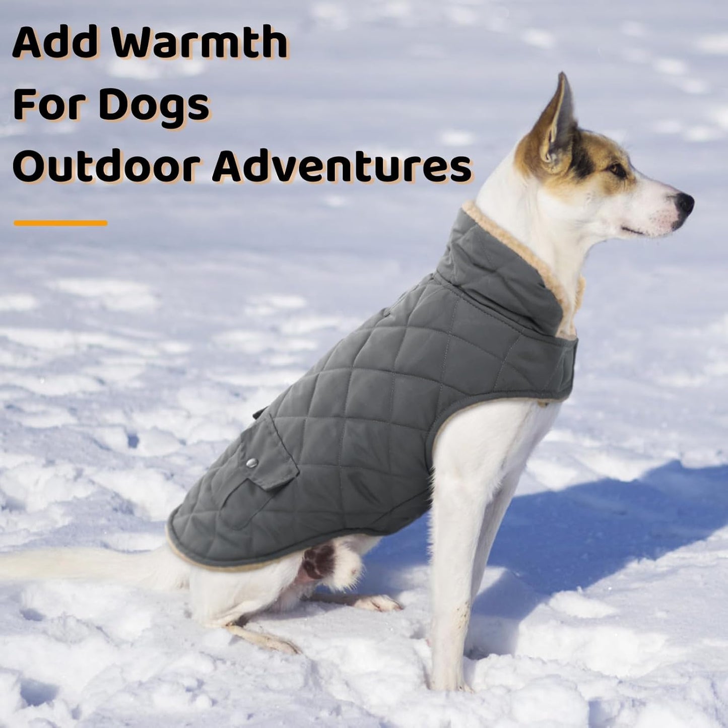 Queenmore Dog Winter Coat - Fleece Jacket, Waterproof Cold Weather Clothes, Thick Warm Cotton Padding, Easy On Storage Pockets (Grey, Large)