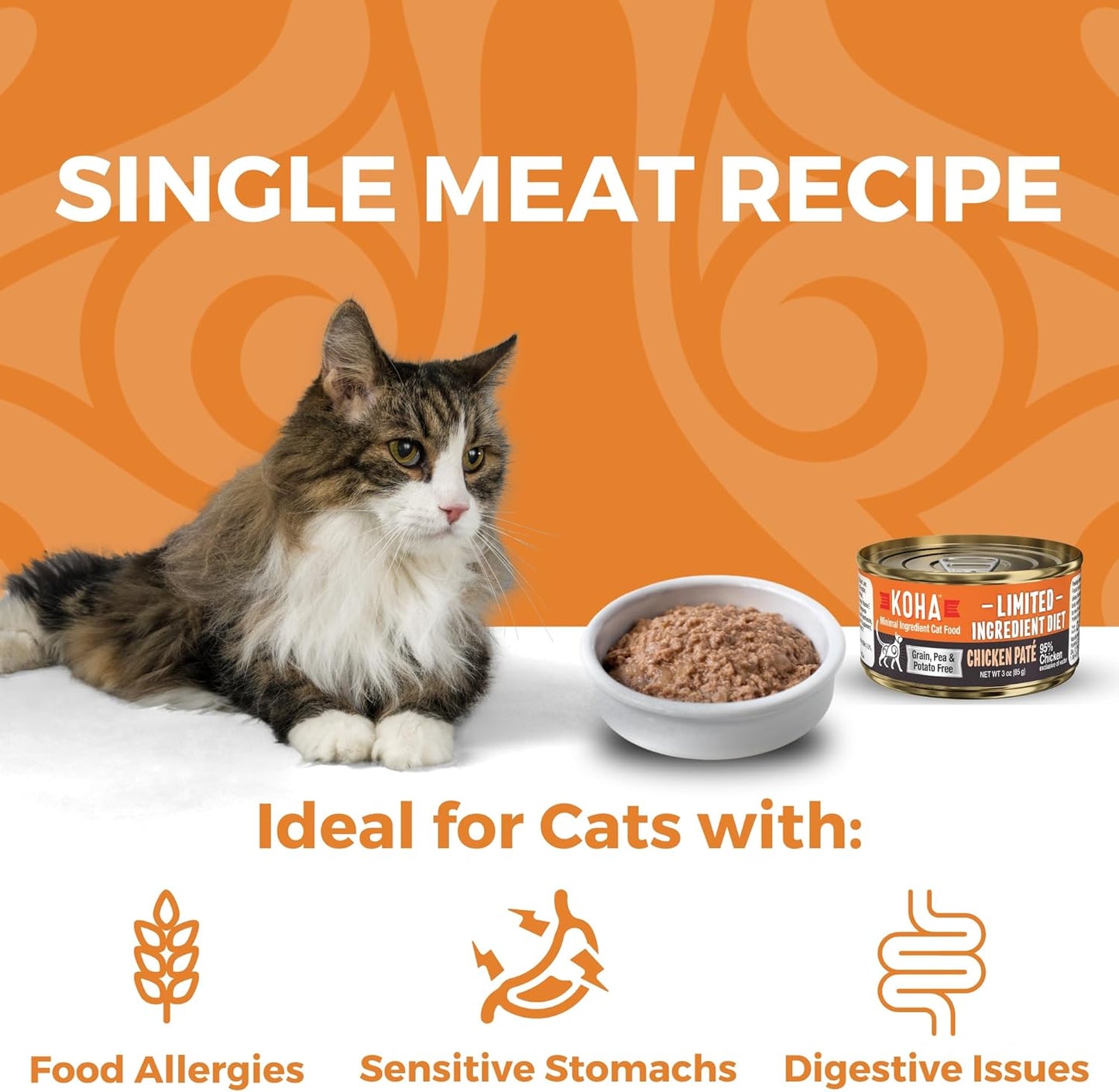 KOHA Limited Ingredient Diet Chicken Pate for Cats - Single Meat Wet Cat Food for Sensitive Stomachs - Pate Cat Food with No Fillers - 5.5oz Pack of 24