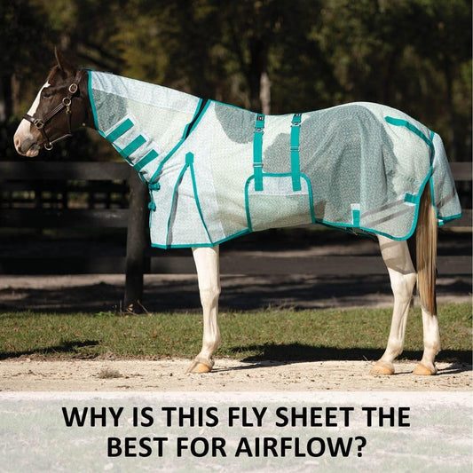 Schneiders Ripstop Nylon Mesh II Horse Fly Sheets | Optimal Airflow & UV Protection