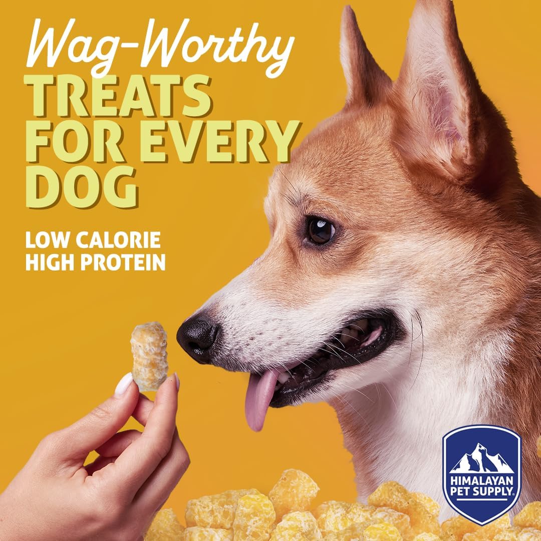 Barkeetos Dog Treats Variety Pack – Peanut Butter, Bacon, Cheese & Chicken – Crunchy Cheesy Snacks with Real Himalayan Cheese – Grain Free, Gluten Free, Lactose Free – for All Breeds - 4 Pack