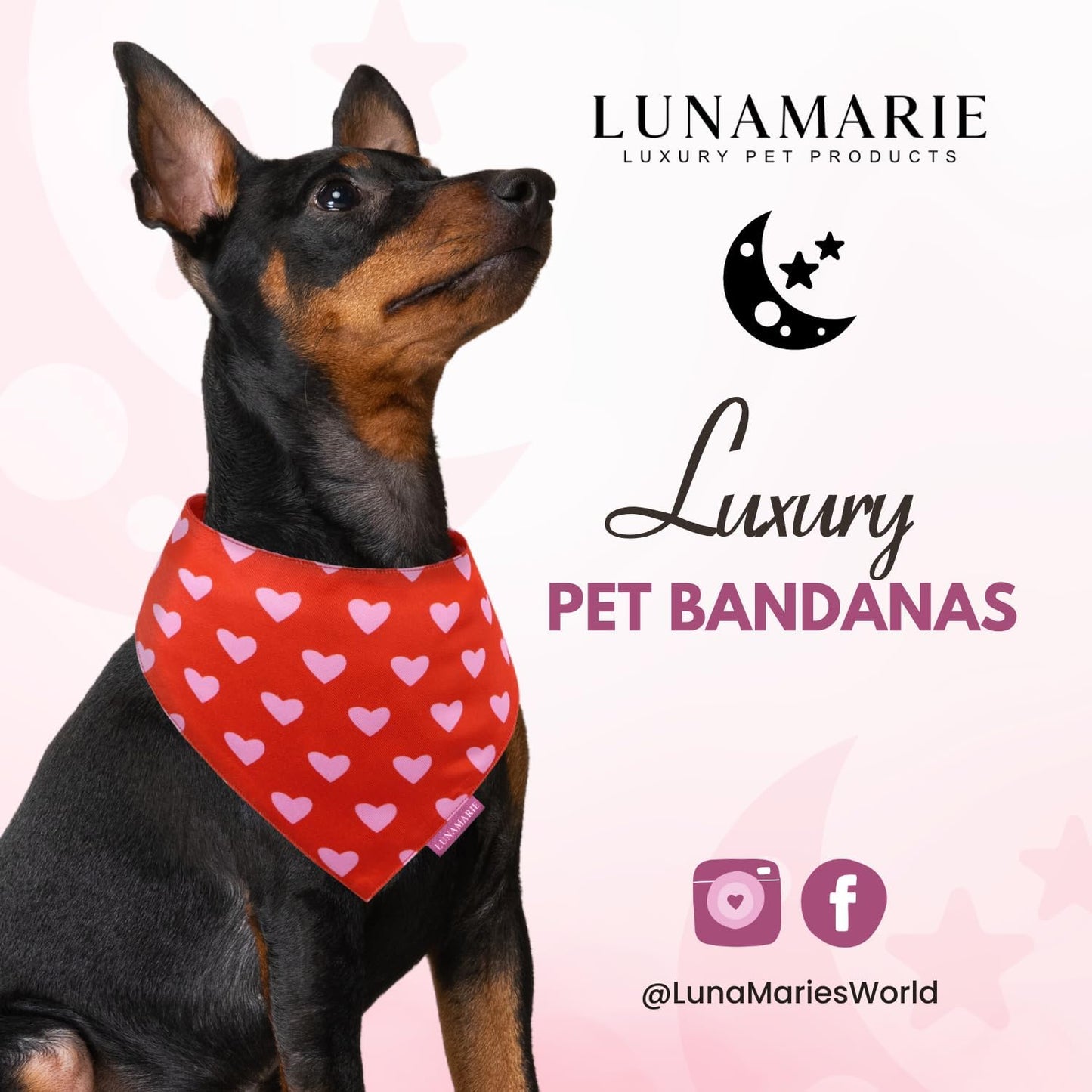 LunaMarie - Luxury Pet Birthday Bandanas -Premium & Silky Poly Fabric | 100% Handmade | Custom Shape Dual Layered (Evie Hearts, Medium)