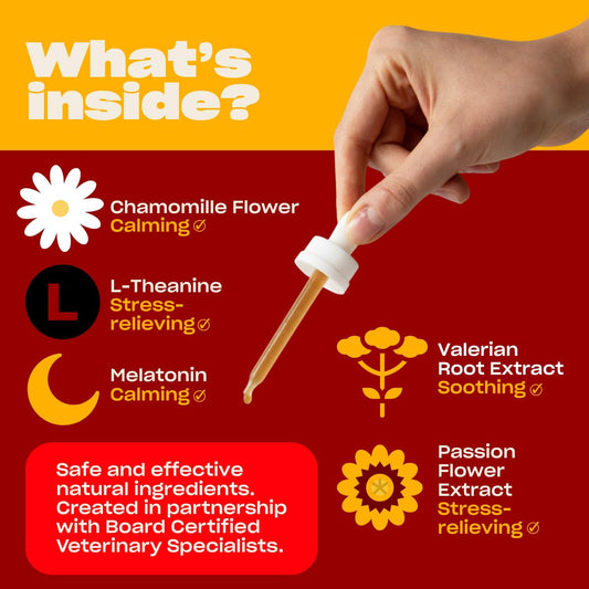 OH NORMAN! Calm Down! by Kaley Cuoco - All-Natural Calm Supplement for Dog Stress Relief - Vet Nutritionist Approved for All Life Stages and Breeds - 1 Fl Oz Calming Supplements for Dogs