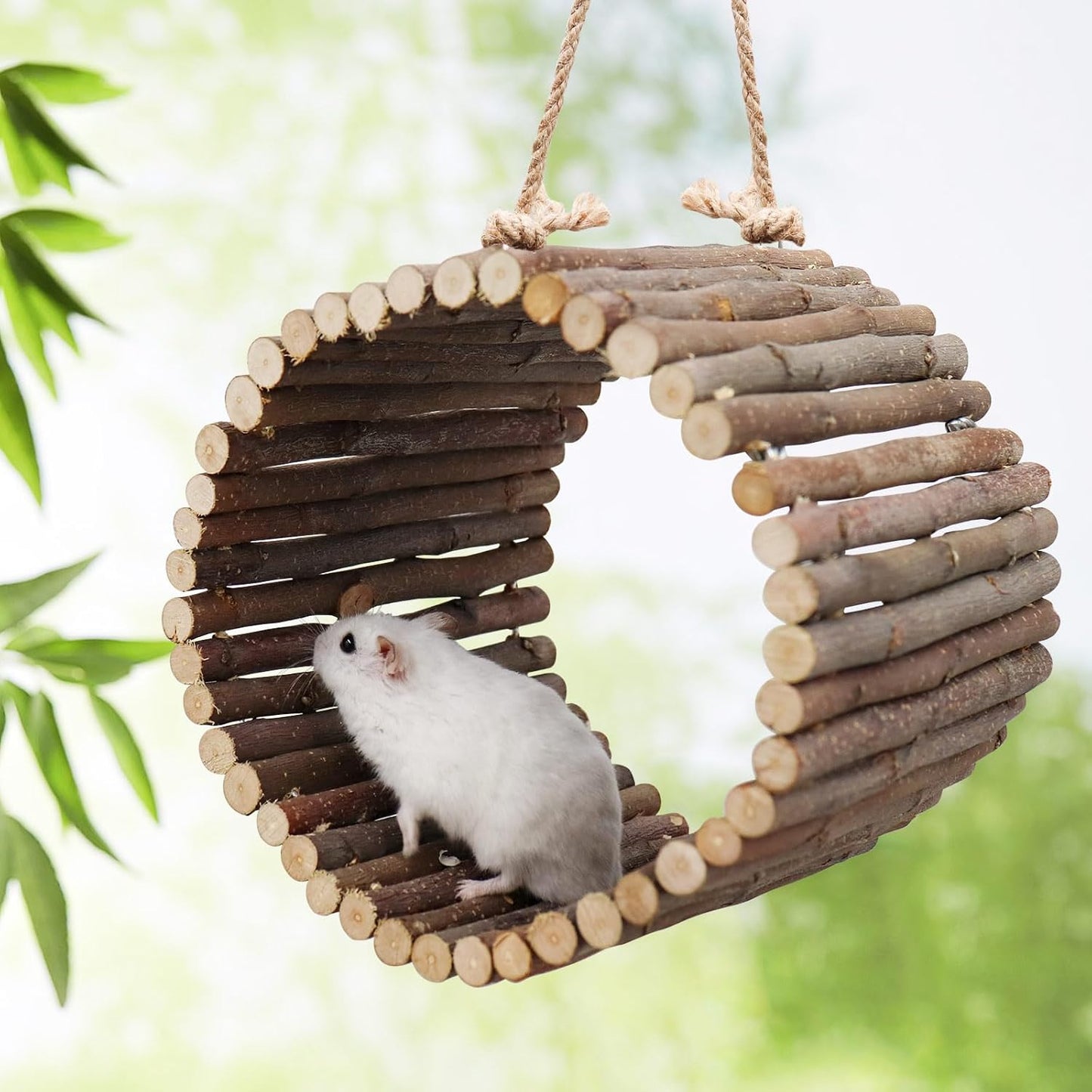 Bird Parrot Swing Toys, Hanging Bird Tree Caves, Natural Apple Wood Parrot Hammock, Bird Cage Accessories, Suitable for Little Bird Parakeets Cockatiels Lovebirds Hamster Rat (6.49" in Diameter)