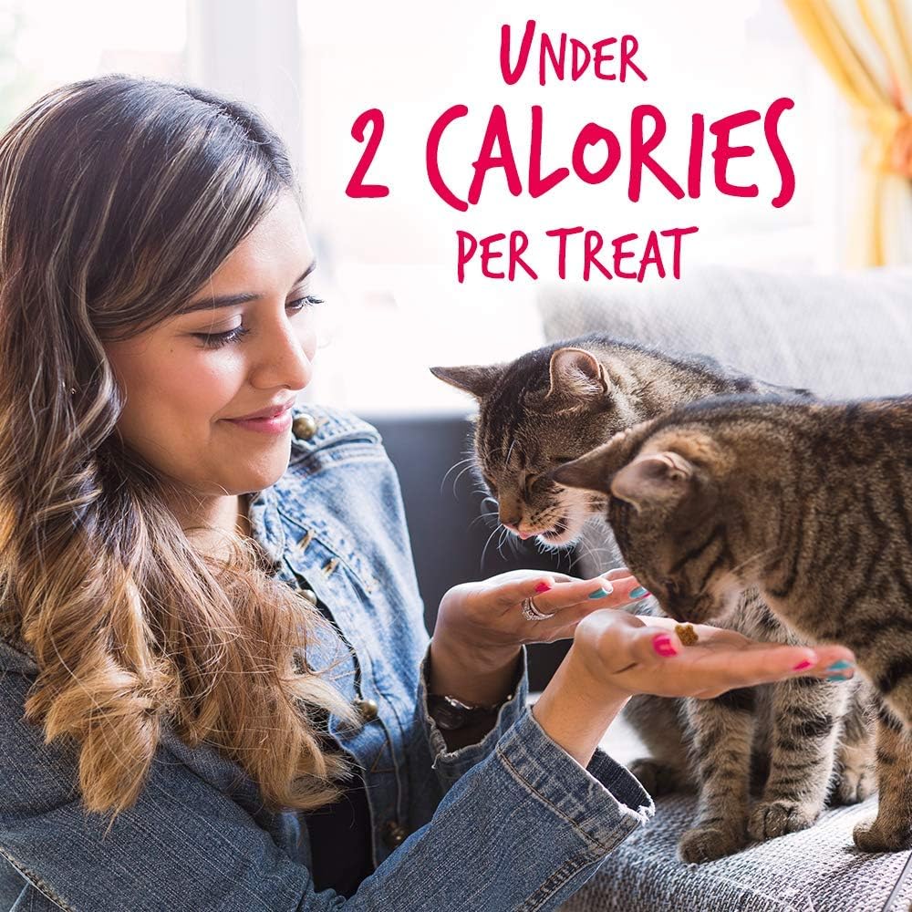 Fruitables Cat Treats Crunchy Salmon & Cranberry Cat Treats Healthy Low Calorie, High Protein Wheat, Corn & Soy Free 30 Ounces