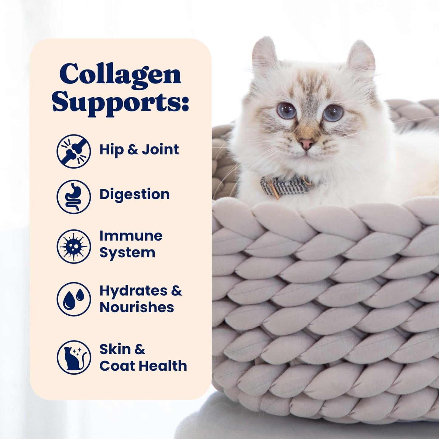 Solid Gold Bone Broth Cat Food Topper - Limited Ingredient Lickable Cat Broth Pouches w/Chicken Protein Shreds & Collagen for Hydration & Gut Support - Easy to Serve Gravy for Cats Meal Topper - 12ct