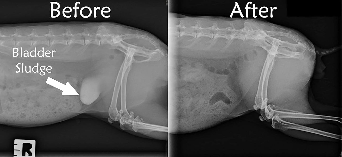 Sherwood Pet Health Adult Guinea Pig Food - Free Choice Timothy Pellet-4.5lbs