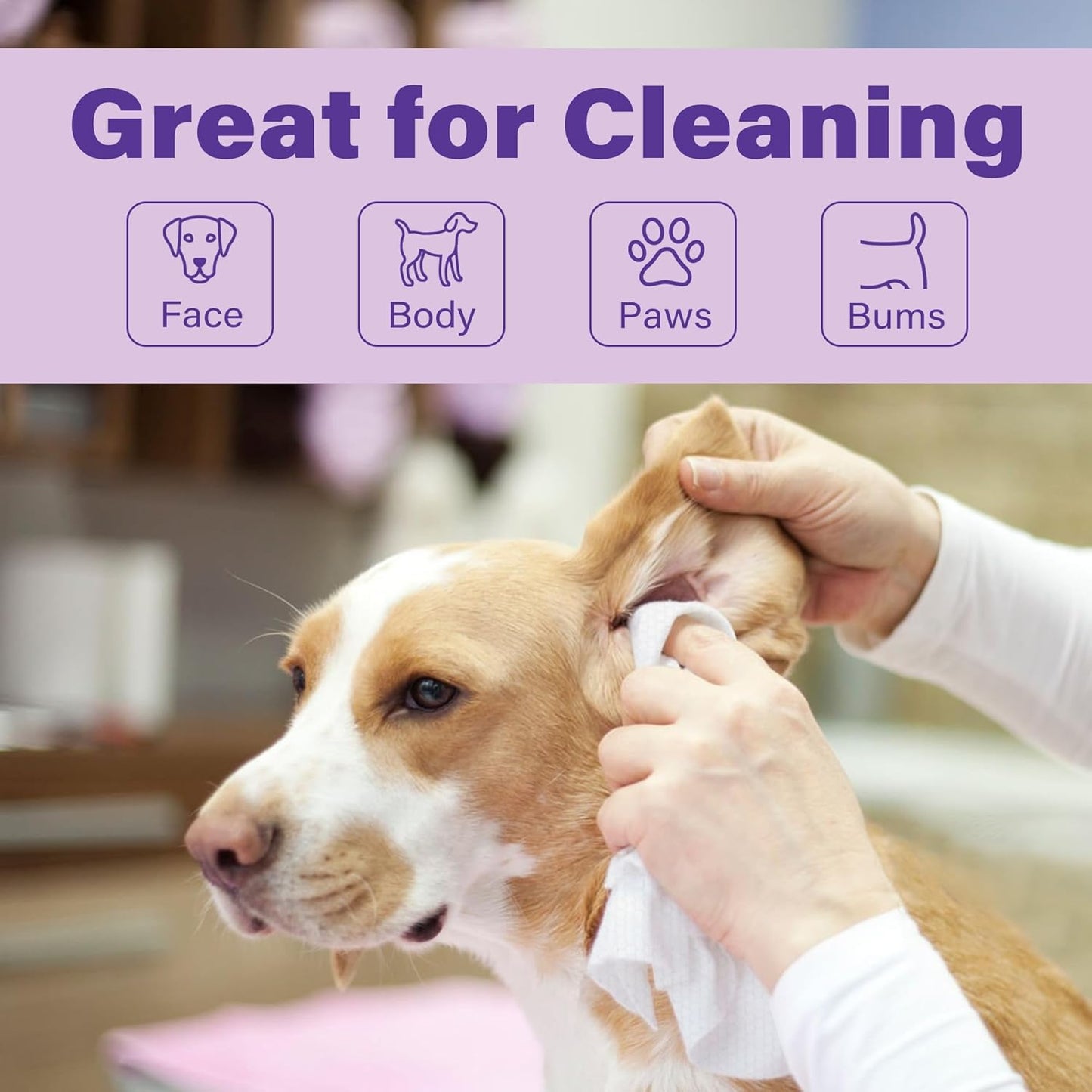 PrimePets Dog Wipes for Paws and Butt, 100 Count, 8" x 8" Hypoallergenic Pet Wipes for Dogs Cats Cleaning Deodorizing, Lavender Scented, Thick Puppy Wipes for Ears, Eyes, Body and Teeth