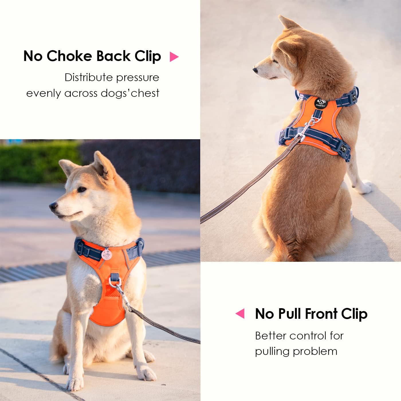 PHOEPET No Pull Dog Harness, Unique Colors Reflective Adjustable Dog Vest, with Soft Training Handle Metal Clips for Small Medium Large Dogs (Orange Base & Blue Straps,M)