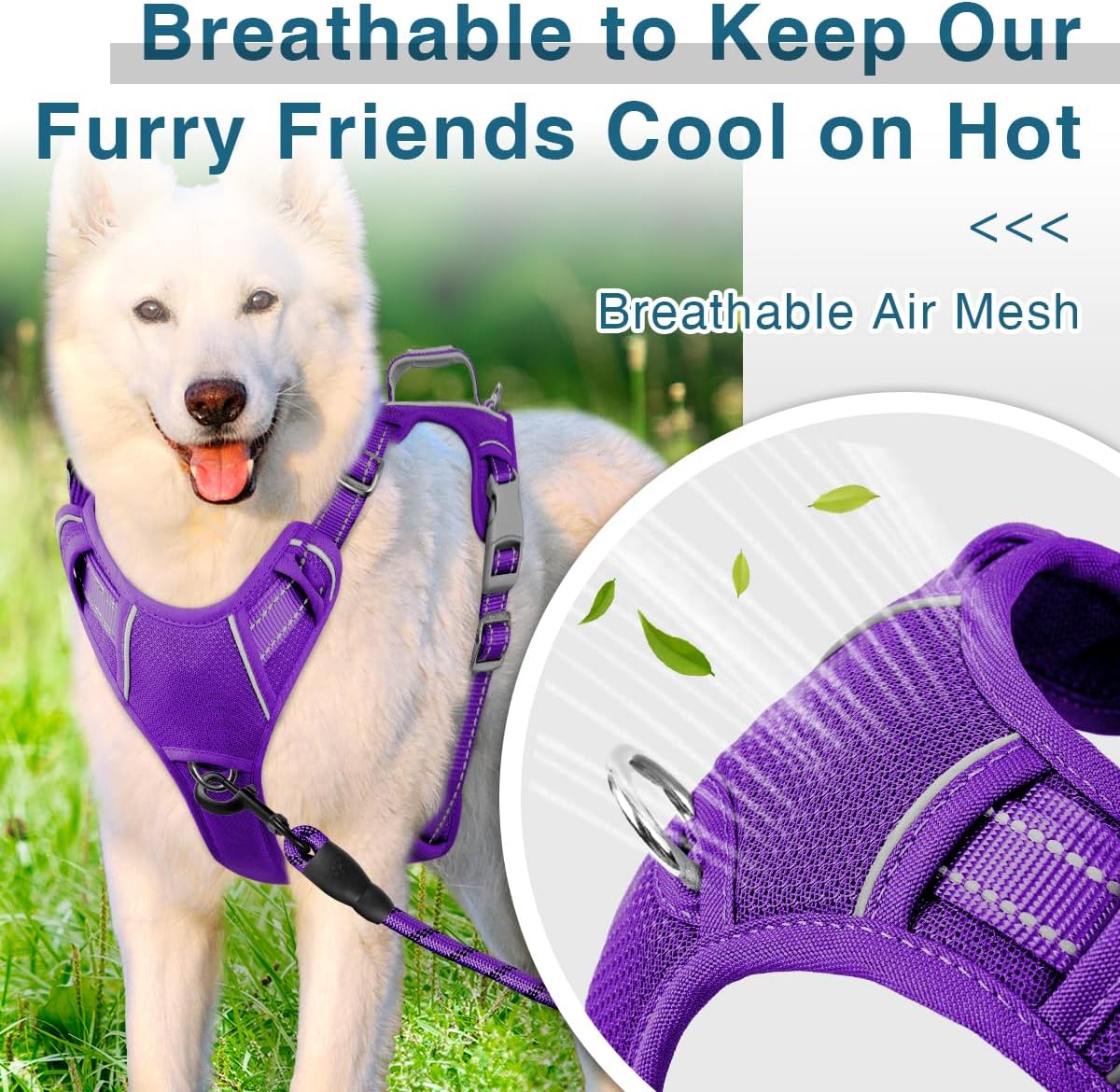 BARKBAY Dog Harness No Pull with ID Tag Pocket - Heavy Duty, Reflective, Easy Control for Large Dogs(Purple,S)