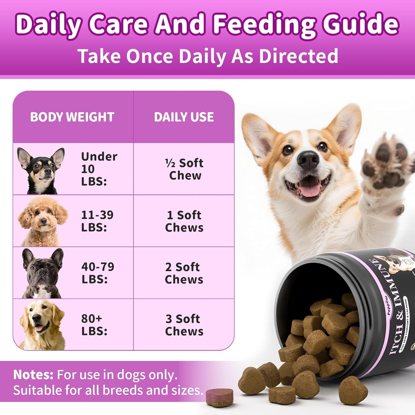 Dog Allergy Relief Chews, Itch Relief for Dogs – Turmeric & Omega-3 Supplements for Skin Comfort, Coat Health & Seasonal Support, Immune Care with Biotin & Quercetin – Beef Flavor, 90 Count