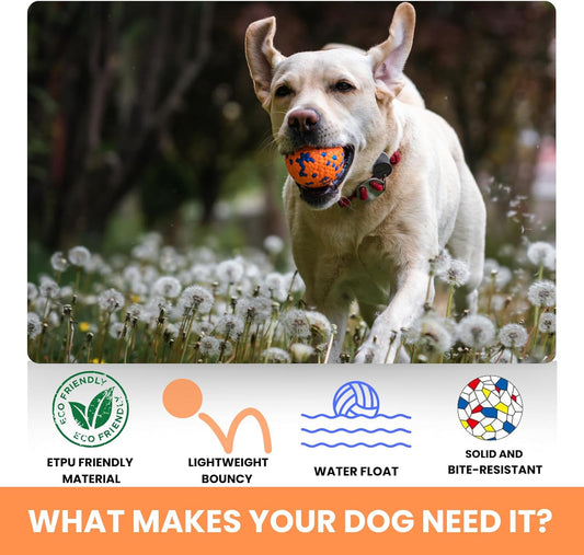 Tough Dog Toys for Aggressive Chewers & Teething Puppies, Bouncy Balls for Medium Dogs, Durable Pet Toys, Floating Dog Balls for Water Play (Orange-Blue-Set)
