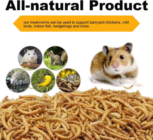 Dried Mealworms, High-Protein Bulk Mealworms 22Lbs, 100% Non-GMO Mealworm Treats for Birds, Chickens, Turtles, Fish, Hamsters and Hedgehogs All Natural Animal Feed