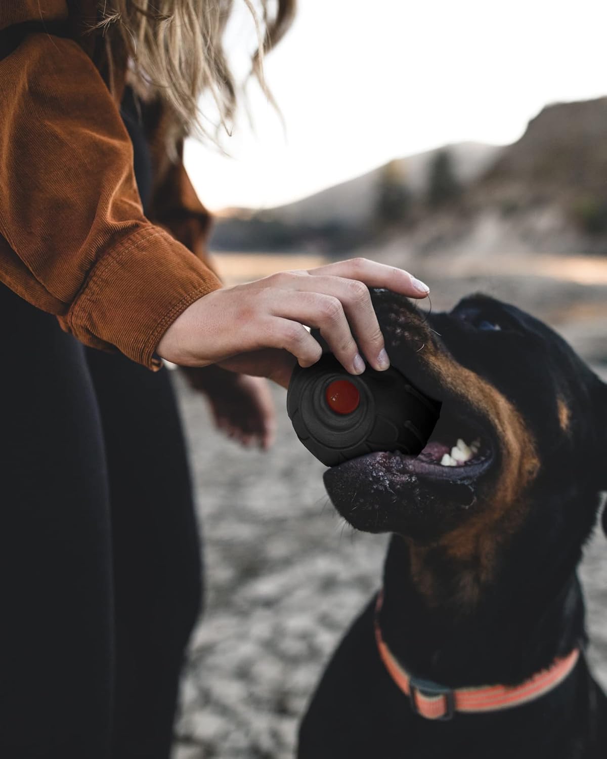 Giggle Ball for Dogs Owl Dog Toys for Aggressive Chewers Gift for Dog Natural Rubber Ball Cute Owl Hoot Medium Large Dog (Demon)