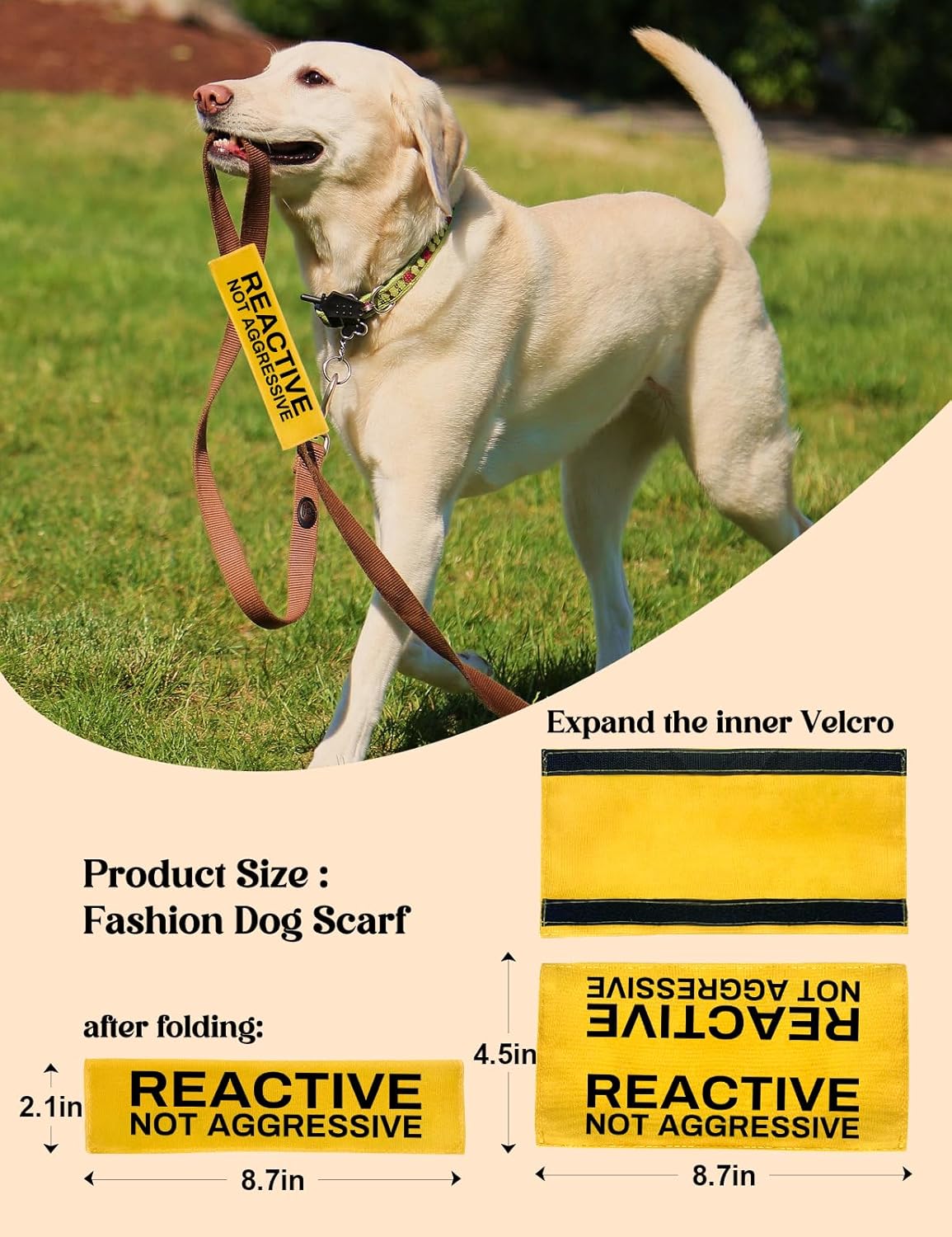 Reactive Dog Leash Sleeve - Funny Yellow Wrap with 'Do Not Pet' Patch - Alert Hanging ID Tag - Perfect for Dog Owners