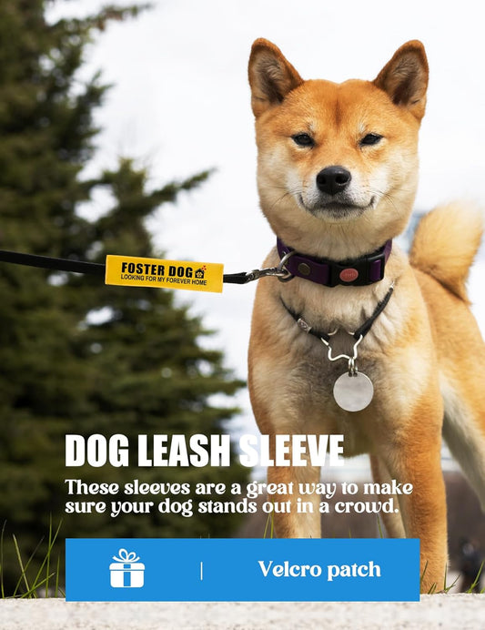 Foster Dog Looking for My Forever Home Dog Leash Sleeve, Funny Yellow Dog Leash Wrap Alert Hanging ID Patch Tag, Service Dog Leash Wrap Dog Pet Leash Sleeve Pet Birthday Gifts for Dog Owners