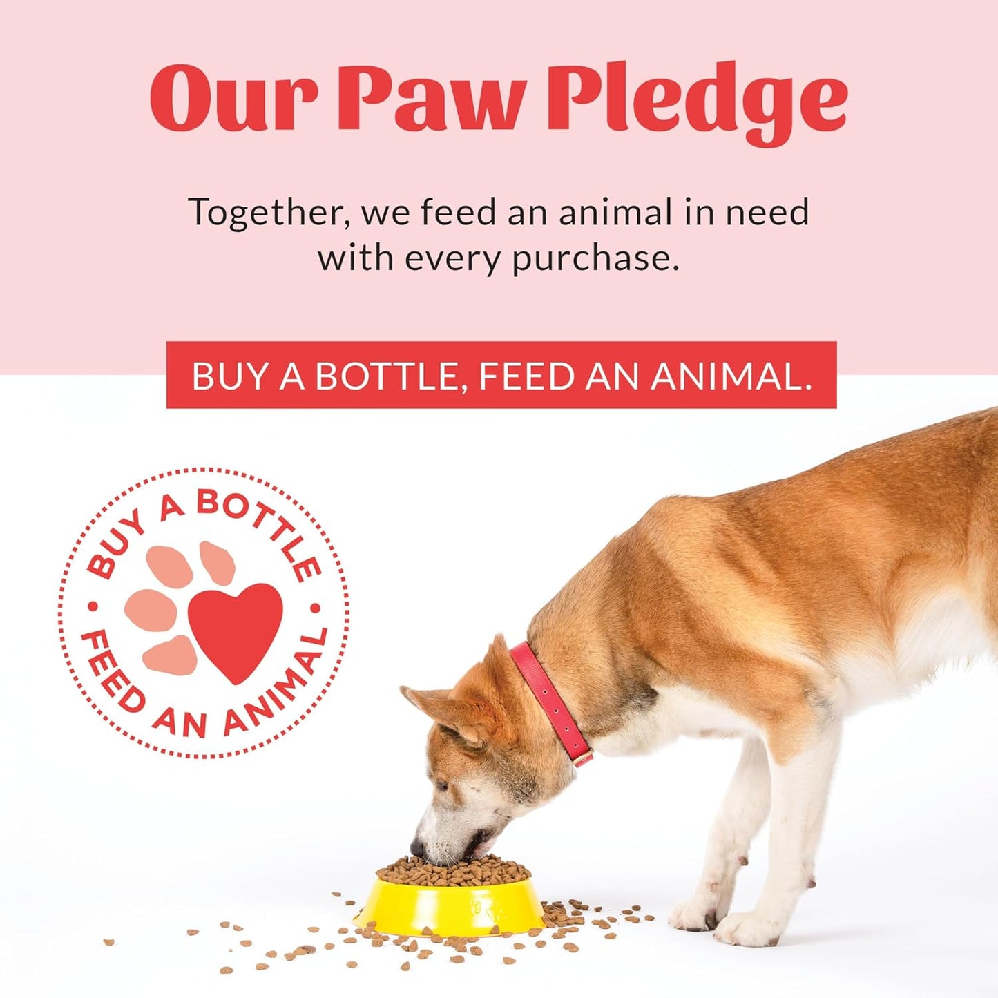 SKOUT'S HONOR Stay Off! Training Aid for Dogs - Natural Lemongrass & Peppermint Oils - Eco-Friendly Training Aid, Alcohol-Free, Naturally Deters, 28 oz