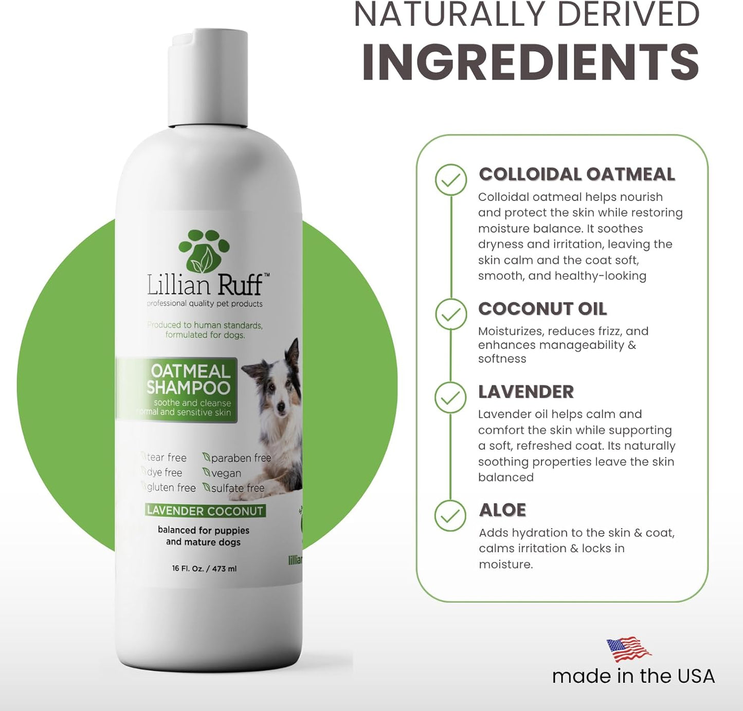 Lillian Ruff PRO Formula Deodorizing Oatmeal Dog Shampoo - Calms Itching & Allergies, Ultra-Nourishing Dry Skin Relief - Oatmeal, Aloe, Coconut Oil, Lavender & Provitamin B5 - Made in USA 16oz+Brush