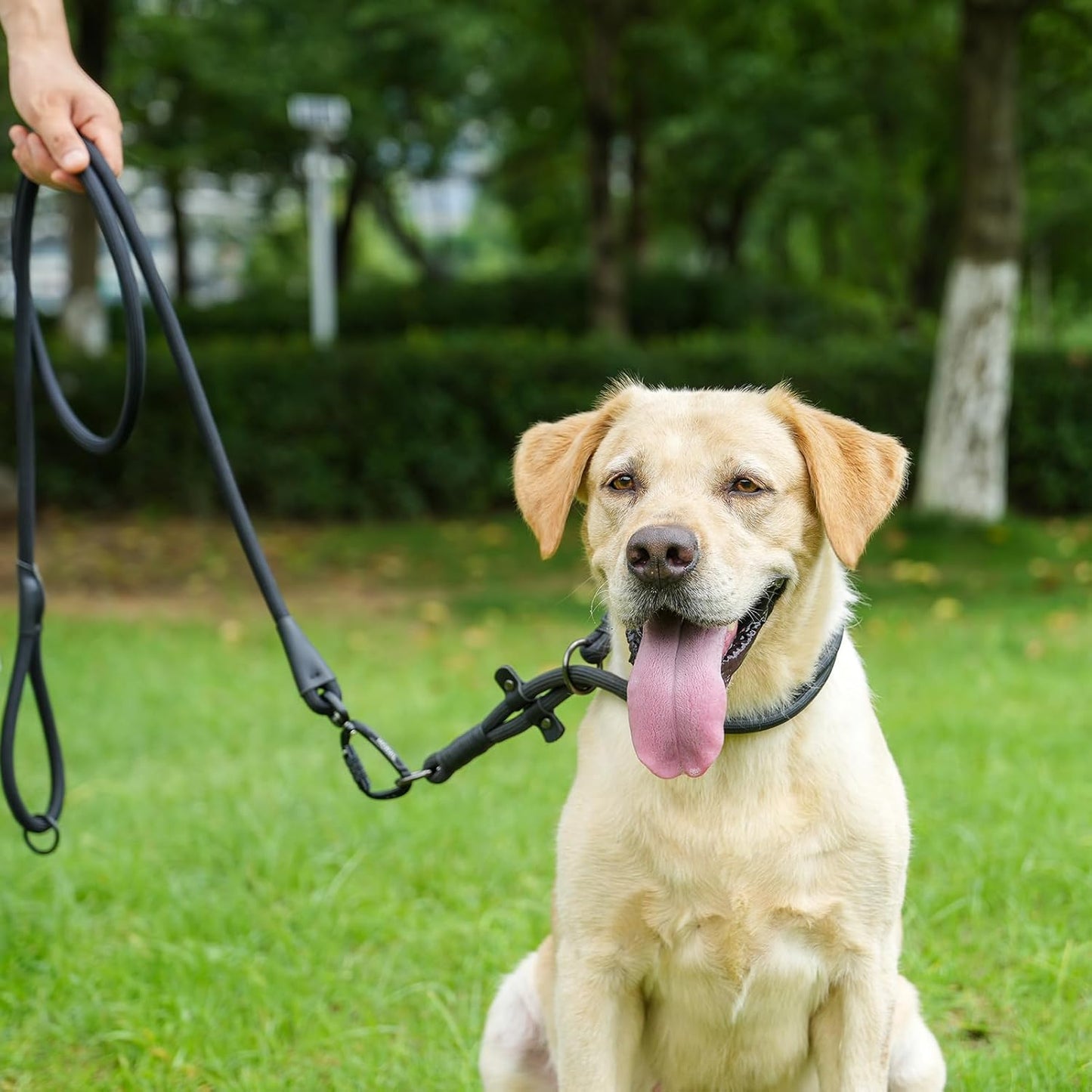 Rope Dog Leash, 4 ft Heavy Duty Dog Leash with Aviation Aluminum Auto Locking Carabiner, Strong Nylon Pet Lead for Small, Medium, Large Dogs (Black, 4FT)