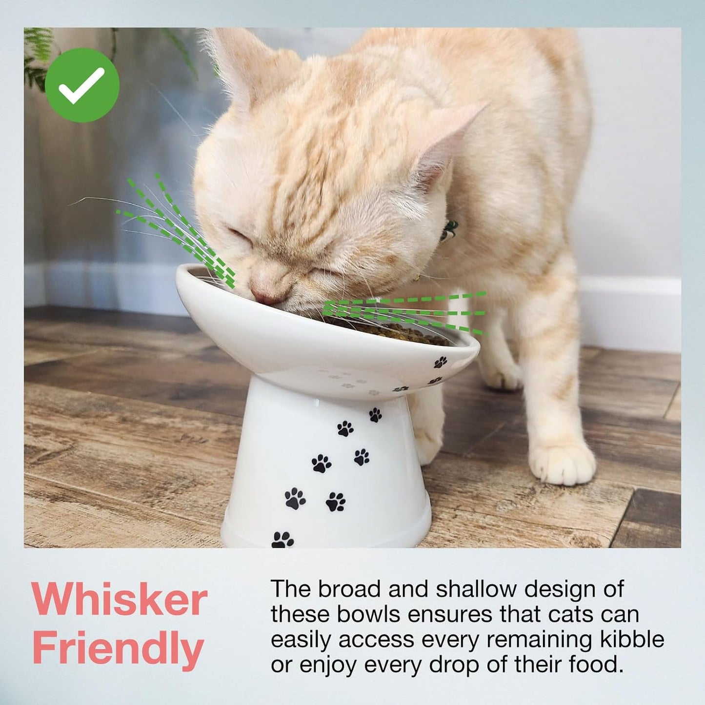 Necoichi Extra Wide Raised Cat Food Bowl, Elevated, Prevent Neck & Whisker Fatigue, Dishwasher and Microwave Safe, No.1 Seller in Japan! (Cat, Extra Wide Tilted)