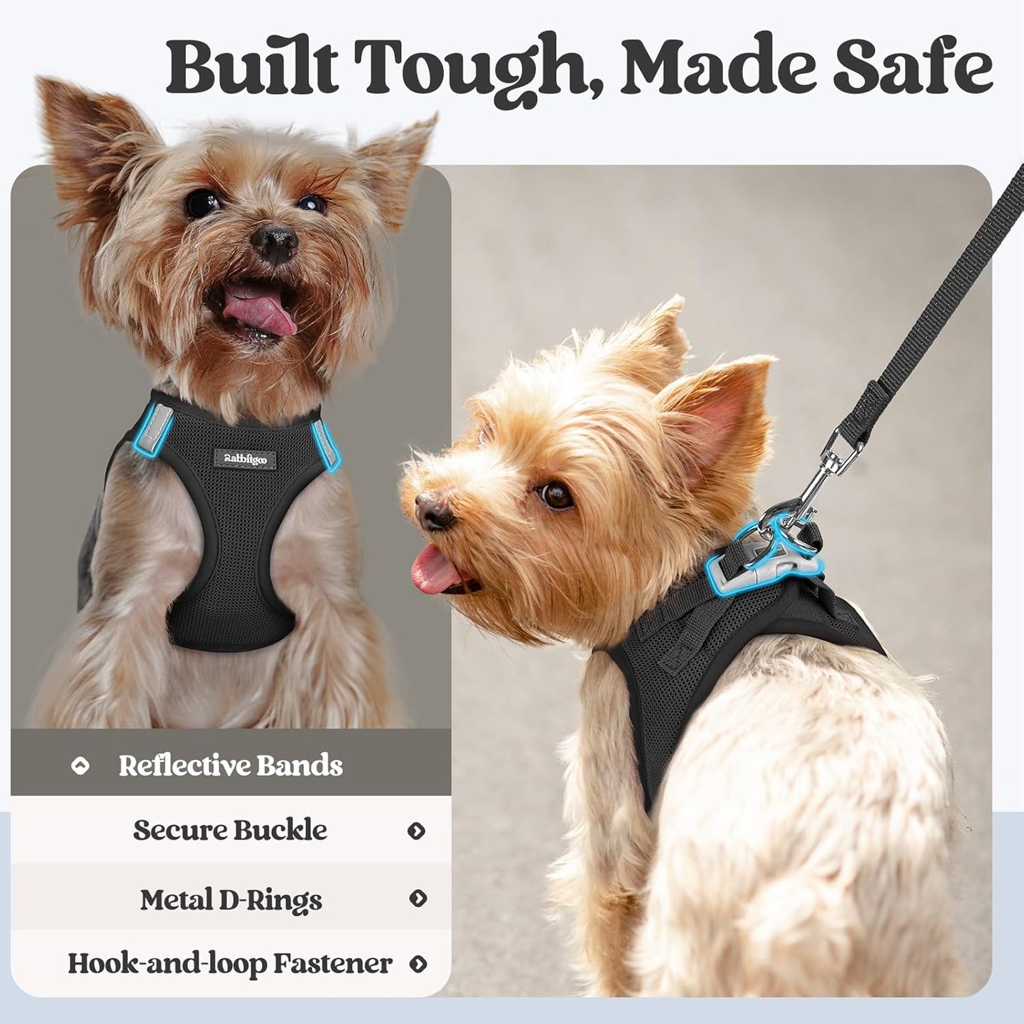 rabbitgoo Dog Harness Small Medium Sized and Leash Set, Step in Soft Light Puppy Vest, Breathable Mesh Pet Harness, Reflective for Safe Easy Walking, Black L
