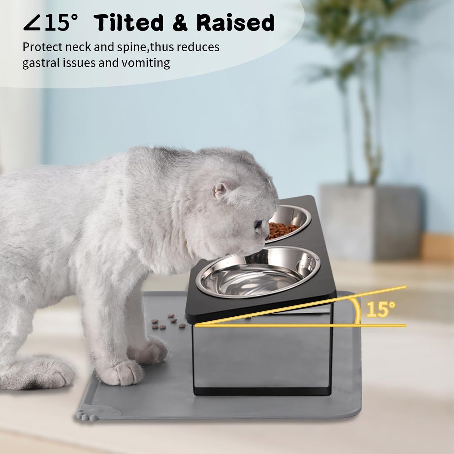Upgraded Elevated Cat Bowls with Food Mat,15°Tilted Stand Anti Vomiting Raised Cat Dishes for Food and Water,2 Stainless Steel Bowls for Cats and Puppy（Black）