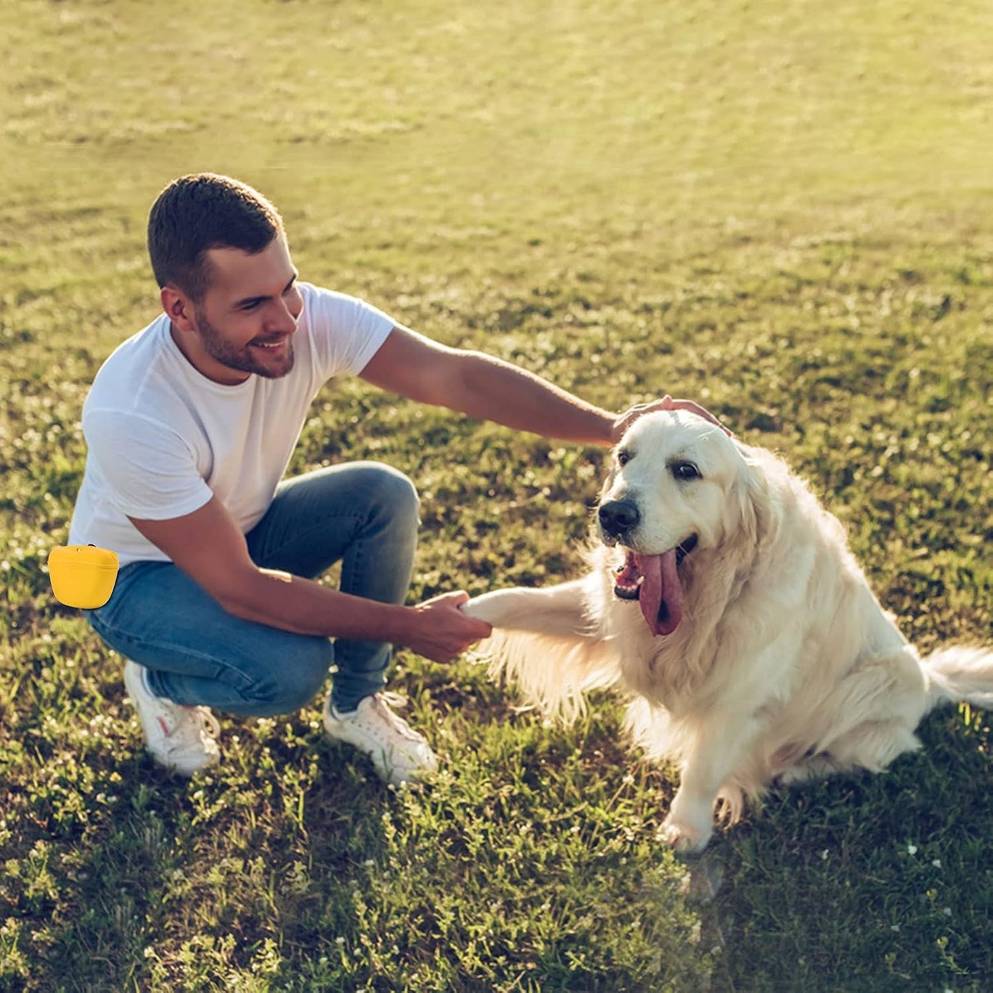 AUDWUD Silicone Dog Treat Pouch,Clip on Portable Training Container,Convenient Magnetic Buckle Closing and Waist Clip,No BPA