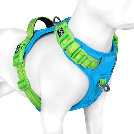 PHOEPET No Pull Dog Harness, Unique Colors Reflective Adjustable Dog Vest, with Soft Training Handle Metal Clips for Small Medium Large Dogs (Blue Base & Green Straps,S)