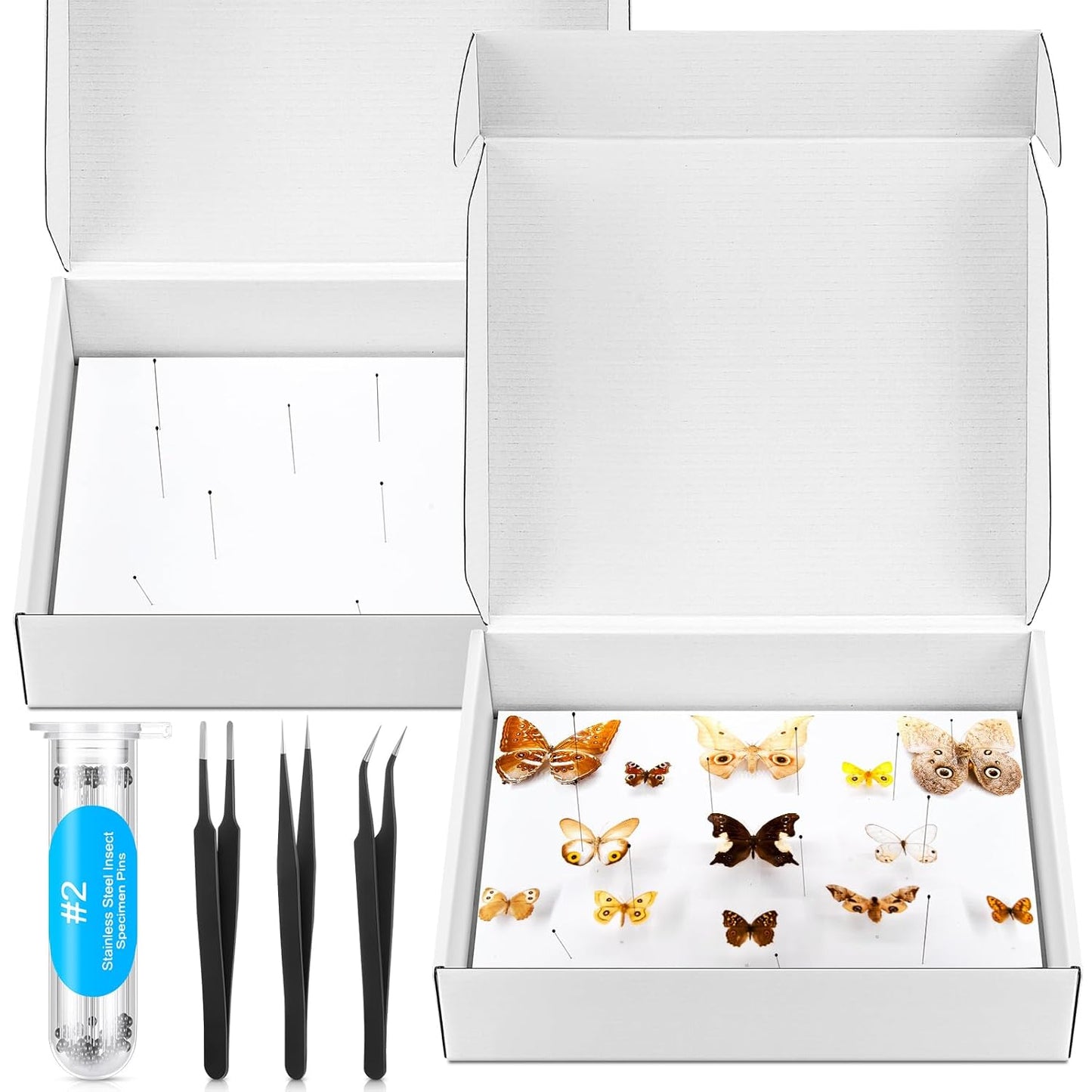 Taiyin 2 Sets Insect Pinning Kits Include 2 Insect Pinning Boxes 2 Insect Pinning Boards 100 Insect Pins and 3 Tweezers for Project Bugs Collection and Specimen Displays