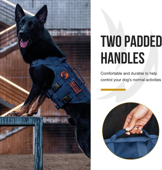 OneTigris Tactical Dog Harness for Small Medium Large Dogs, Mesh Design Service Dog Vest Breathable Military Dogs Molle Vests with Handles, Harness for Walking Hiking Training (Blue, S)