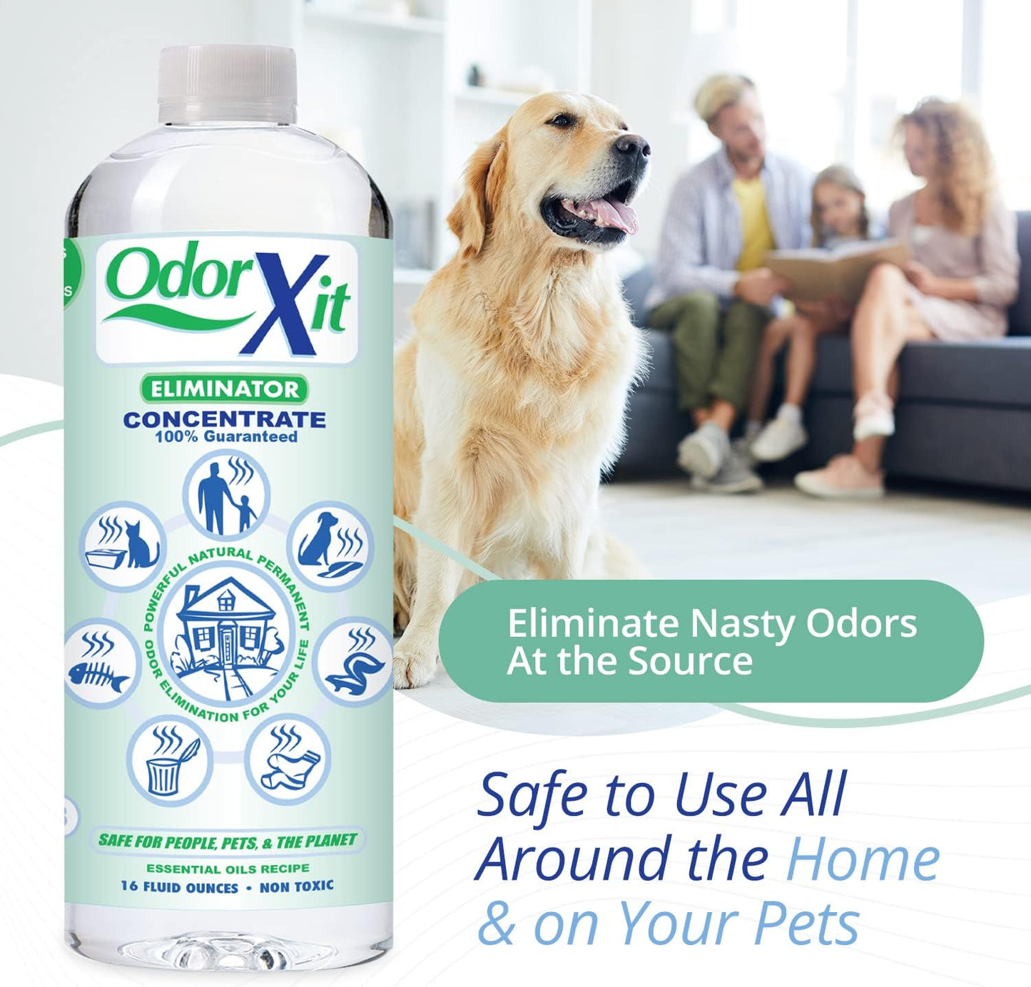 Concentrated Pet Urine Odor Eliminator, Ideal for Cat, Dog Poo and Urine Smell, Versatile & Natural Odor Neutralizer for Home and Outdoor Use, Deodorizer & Absorber, Concentrate, 16oz