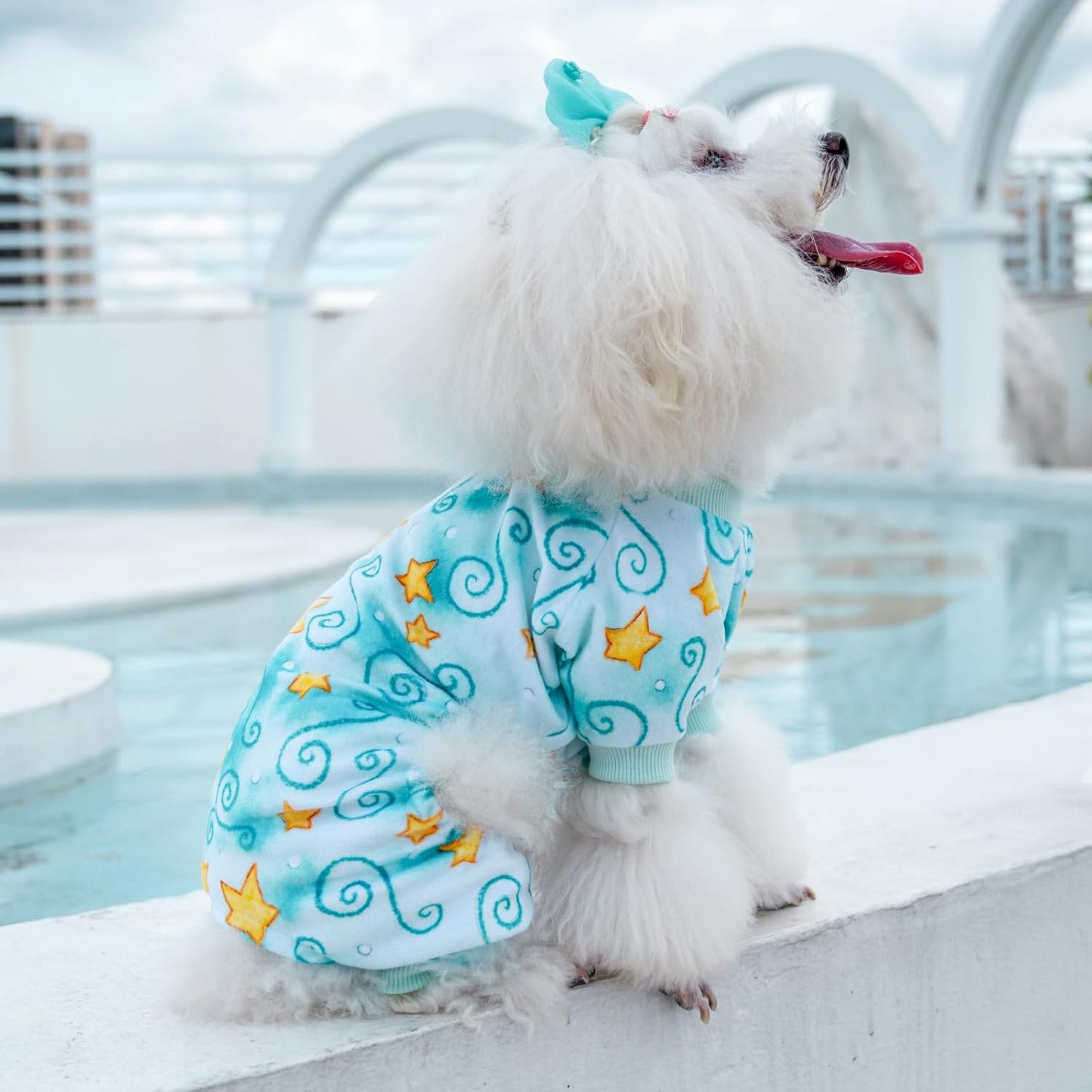 CuteBone Small Dogs Outfit Soft Puppy Onesies Pjs Dog Pajamas Pet Coat Cat Apparel Comfy Doggie Jumpsuit Bodysuit for All Seasons P279S