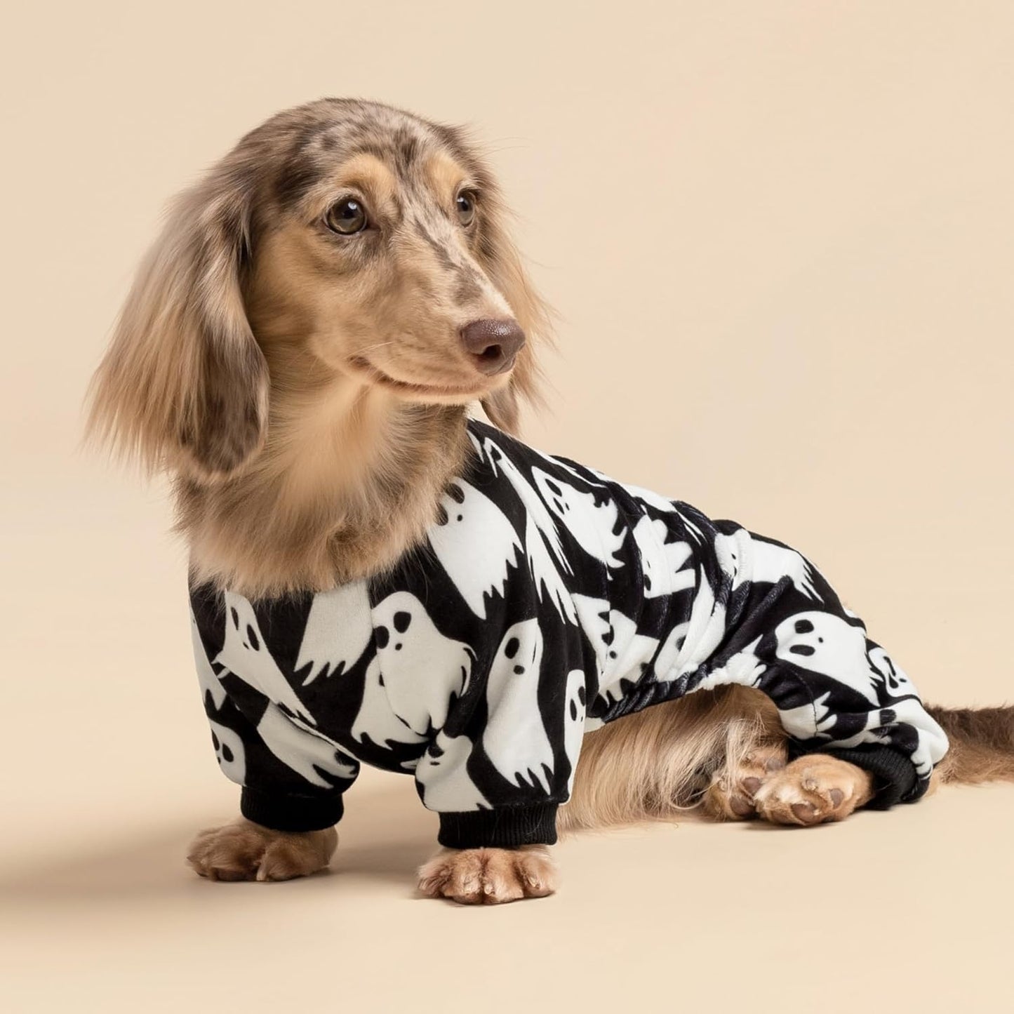 Fitwarm Halloween Ghost Dog Pajamas, Funny Halloween Costumes for Dogs, Fleece Dog Onesie with Feet, Doggy Clothes for Small Dogs Boy Girl, Pet Apparel, Black, White, XXL