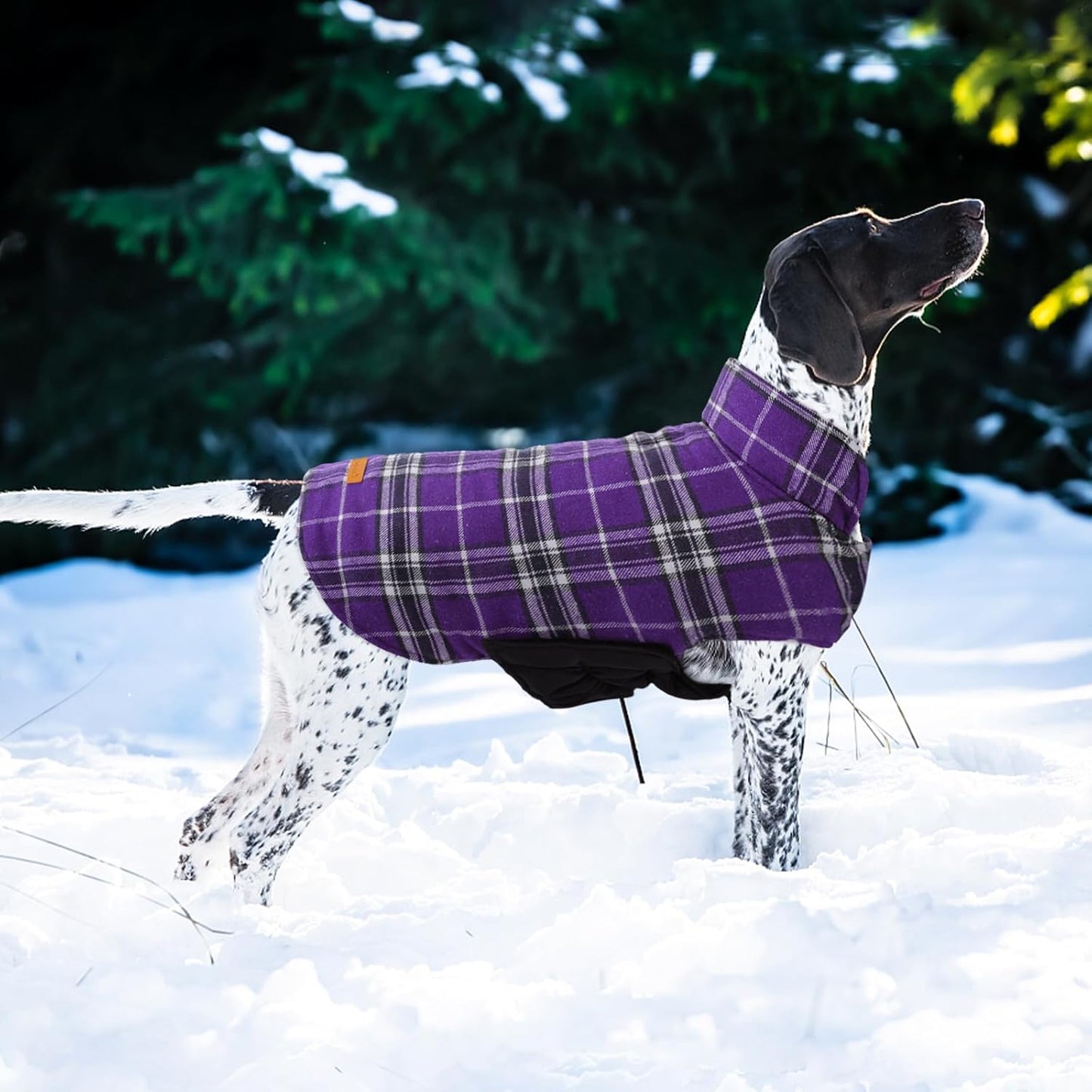 Kuoser Warm Dog Coat, Waterproof Dog Jacket for Extra Large Dogs, Adjustable Durable XXXL Doggie Winter Coat Reversible Puppy Cold Weather Apparel for Large Breed, Purple 3XL