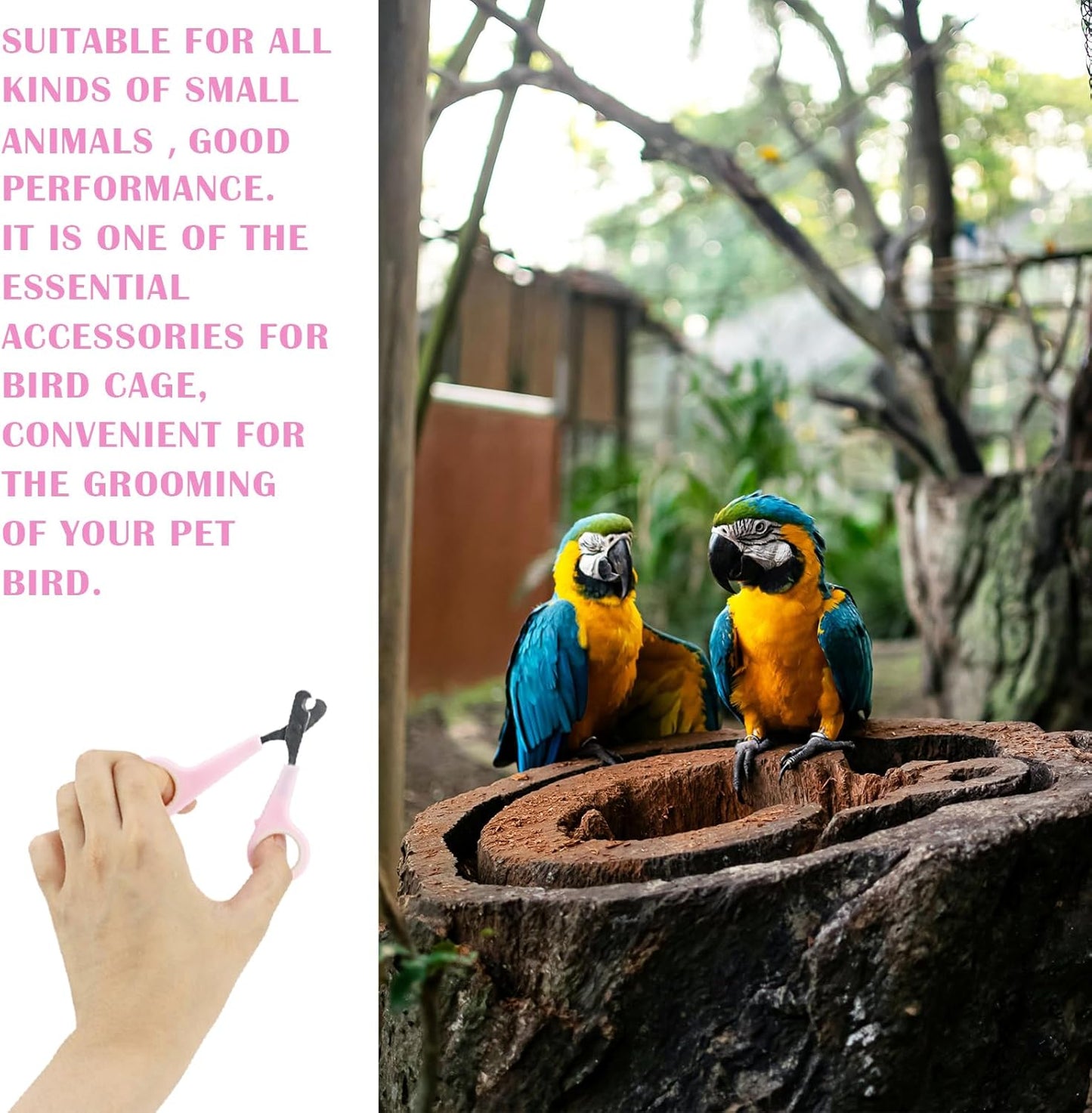 Pet Nail Clippers Grooming Tool Nail Scissors Clipper Nail Trimmers for Small Animals Pet Bird Parrot, 2.4x4.6 Inch