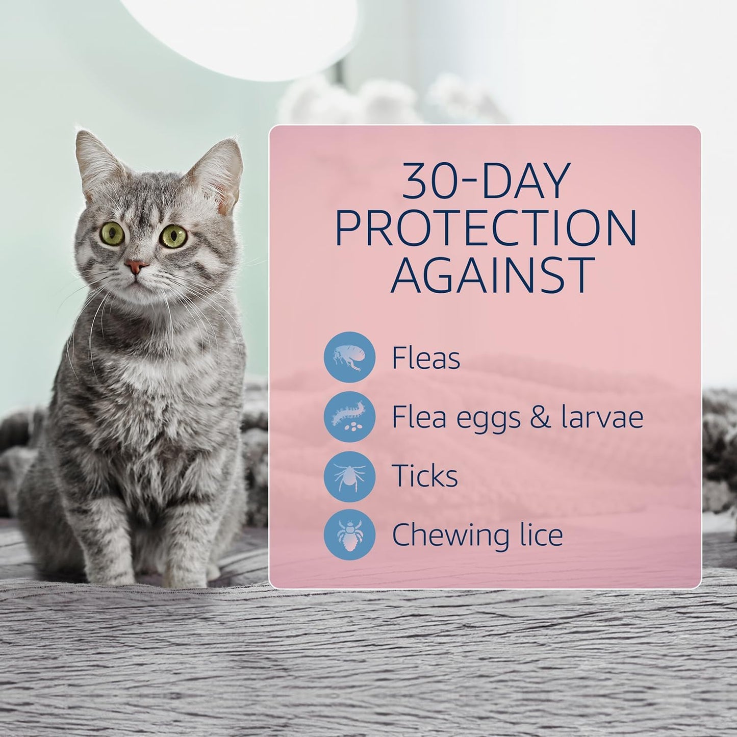 Catego for Cats Flea and Tick Treatment & Prevention (Over 1.5 lbs) 6-Month Supply