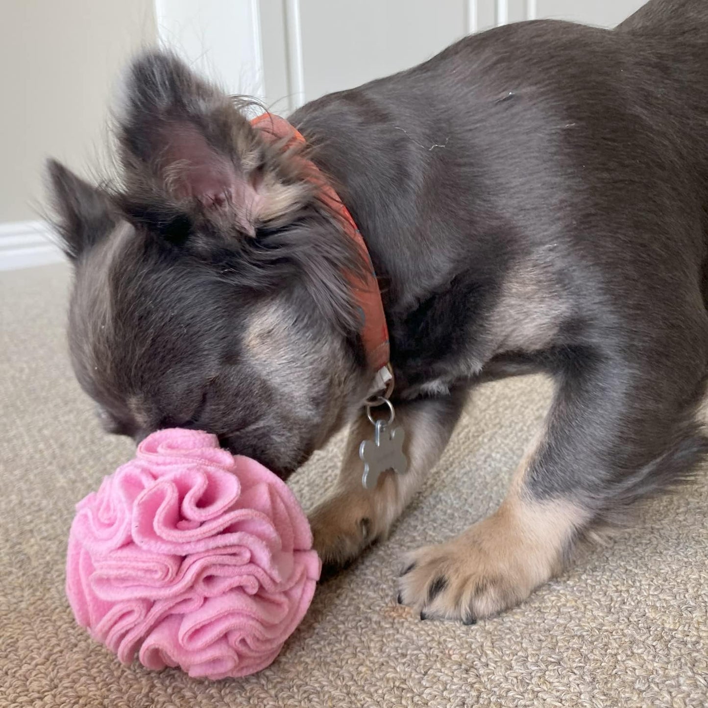 Glory To Dog Puppy and Small Breed Snuffle Interactive Foraging Dog Puzzle Ball Toy Pink