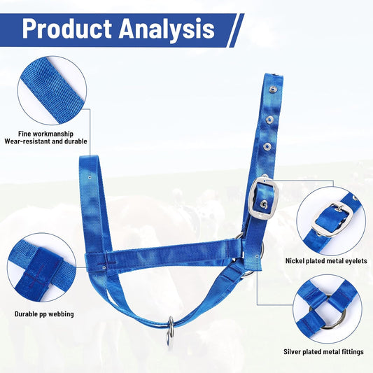 XUANNIAO Easily Adjustable Figure 8 Cow Halter, Double-Ply Premium Livestock Cattle Halters, Colorful Cow Utility Calf Halter with Leading Rope for Miniature Horse Donkey Goat Foal (Medium, Blue)