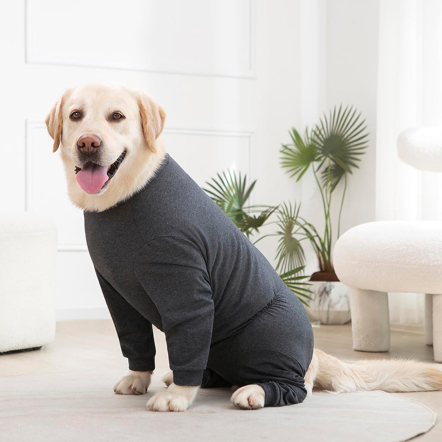 Yeapeeto Dog Onesie Surgery Recovery Suit for Large Medium Bodysuit Dogs Pajamas PJS Full Body for Shedding, Prevent Licking, Wound Protection, Cone Alternative(5XL,Dark Grey)