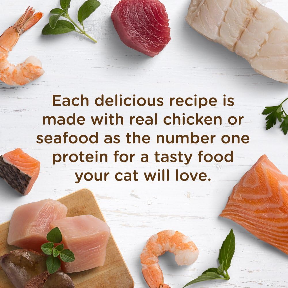 Rachael Ray Nutrish Natural Wet Cat Food, Ocean Lovers Variety Pack, 2.8 Ounce Cup (Pack of 12), Grain Free