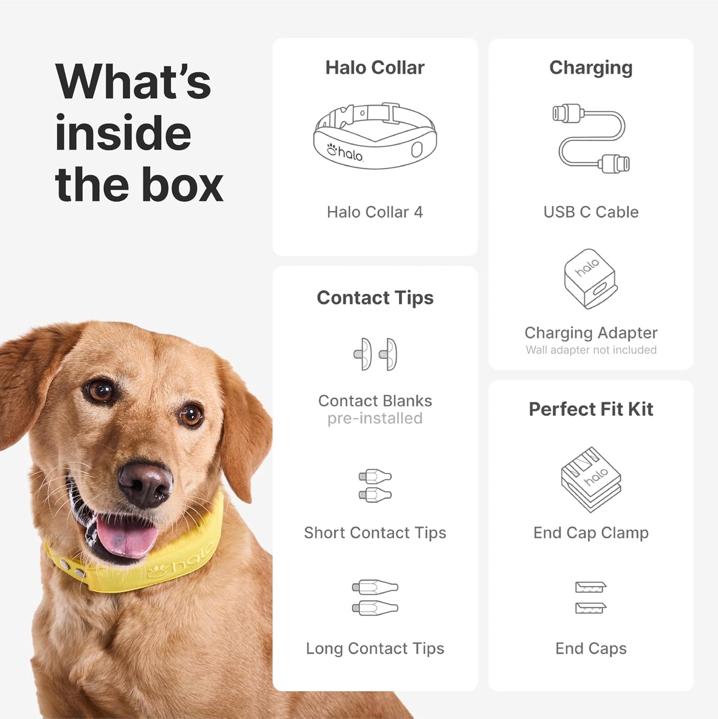 Halo Collar 4, All New GPS Wireless Dog Fence & Dog Training Collar with GPS Tracker, Subscription Required, Waterproof, One Size, Graphite