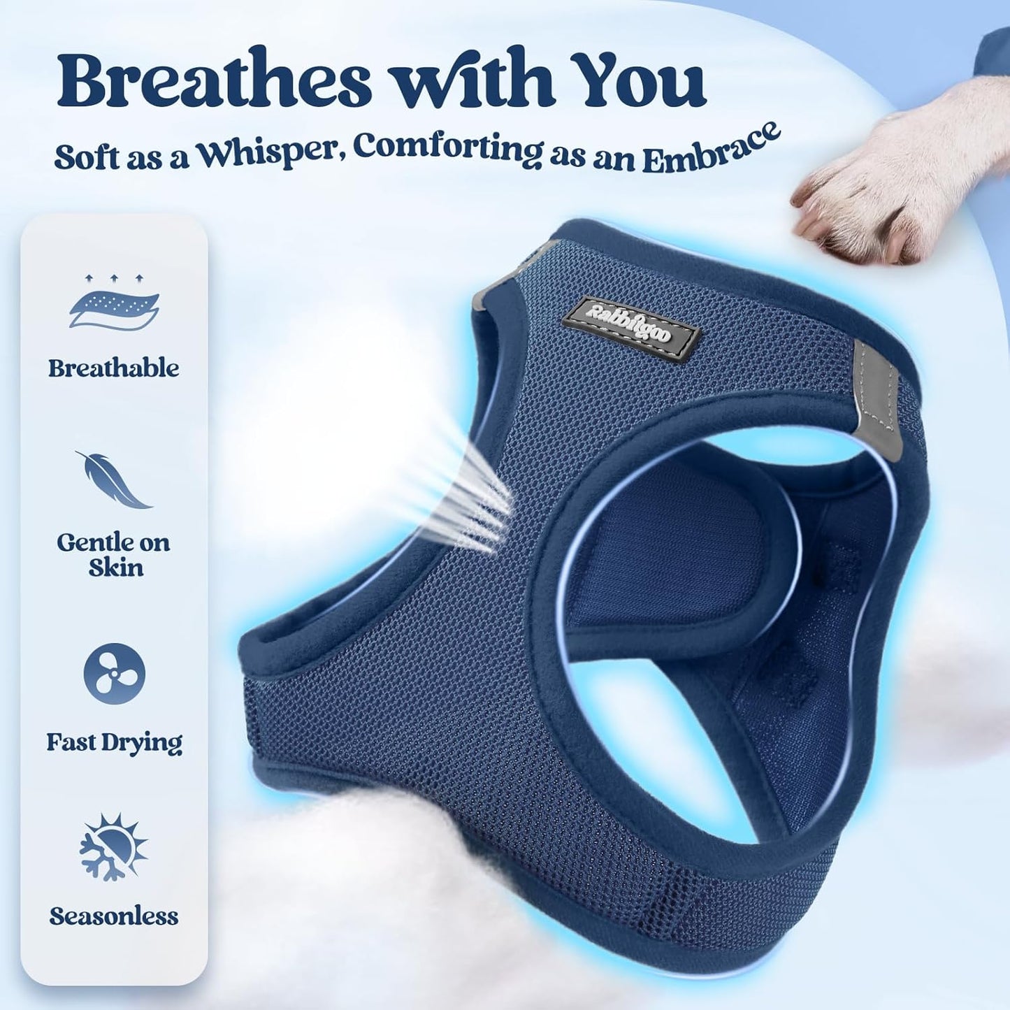 rabbitgoo Dog Harness Small Medium Sized and Leash Set, Step in Soft Light Puppy Vest, Breathable Mesh Pet Harness, Reflective for Safe Outdoor Walking, Navy Blue L