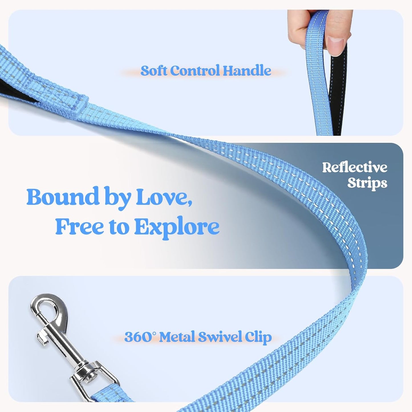 rabbitgoo Dog Harness Medium Sized and Leash Set, Step in Soft Light Puppy Vest, Breathable Mesh Pet Harness, Reflective for Safe Easy Walking, Blue & Orange XXL