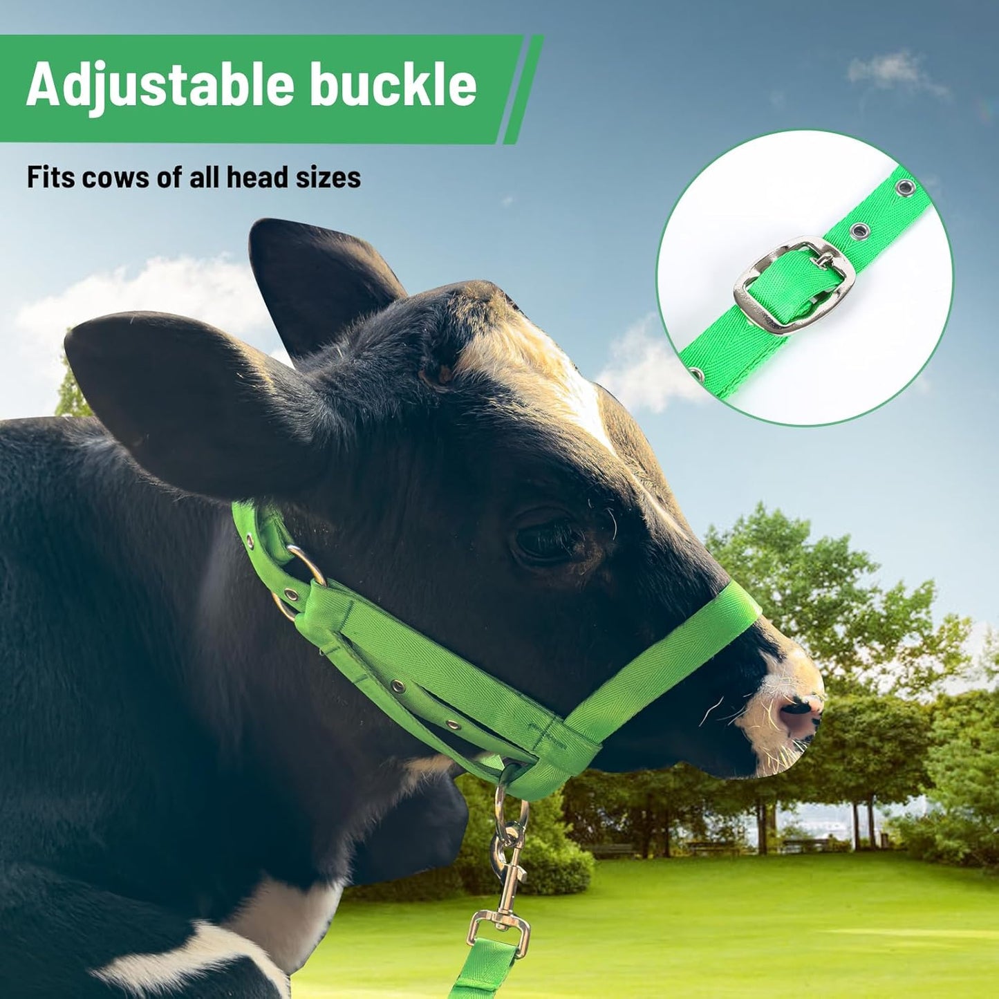 XUANNIAO Easily Adjustable Figure 8 Cow Halter, Double-Ply Premium Livestock Cattle Halters, Colorful Cow Utility Calf Halter with Leading Rope for Miniature Horse Donkey Goat Foal (Medium, Green)
