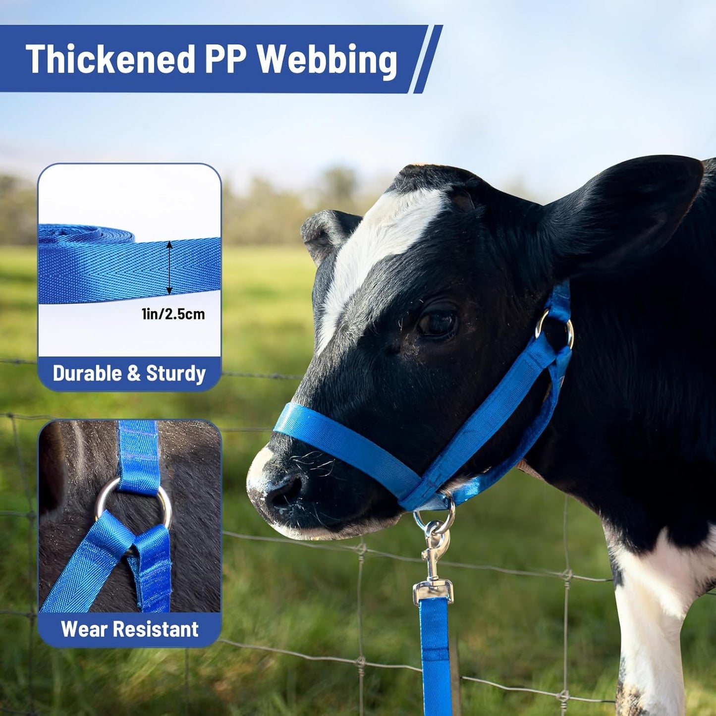 XUANNIAO Easily Adjustable Figure 8 Cow Halter, Double-Ply Premium Livestock Cattle Halters, Colorful Cow Utility Calf Halter with Leading Rope for Miniature Horse Donkey Goat Foal (Small, Black)