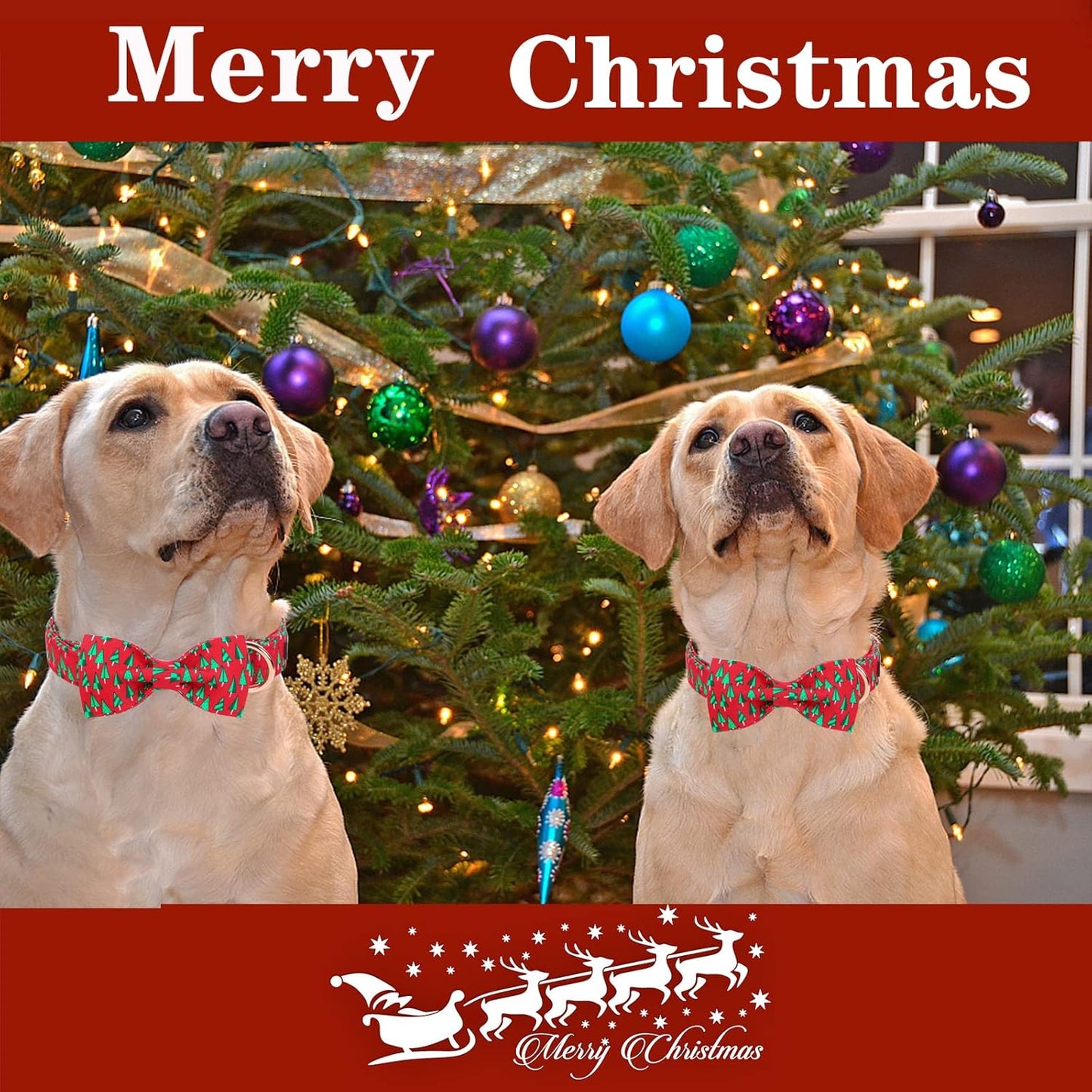 Unique style paws Christmas Dog Collar with Bow Best Winter for Small Medium Large Dogs -Christmas Tree-S