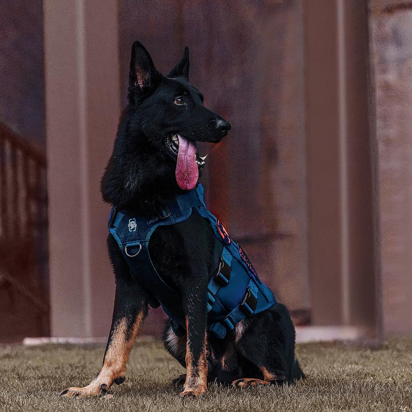 OneTigris Tactical Dog Harness for Small Medium Large Dogs, Mesh Design Service Dog Vest Breathable Military Dogs Molle Vests with Handles, Harness for Walking Hiking Training (Blue, XL)